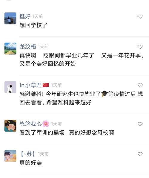 潍坊爆料最新新闻事件视频,视频揭秘XX真相